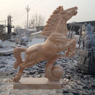 石雕海马的相关介绍