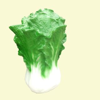 仿真白菜_玻璃钢植物雕塑