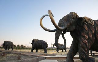 景观园林雕塑厂家大型铜雕大象群