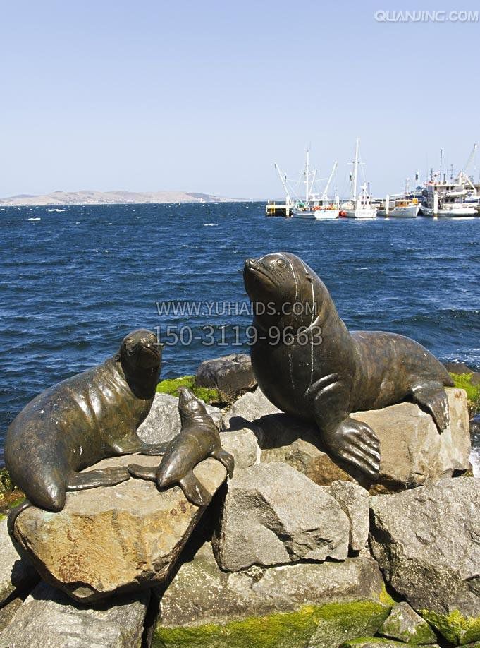 海豹公园景观动物铜雕雕塑