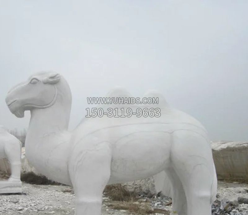 汉白玉骆驼石雕雕塑