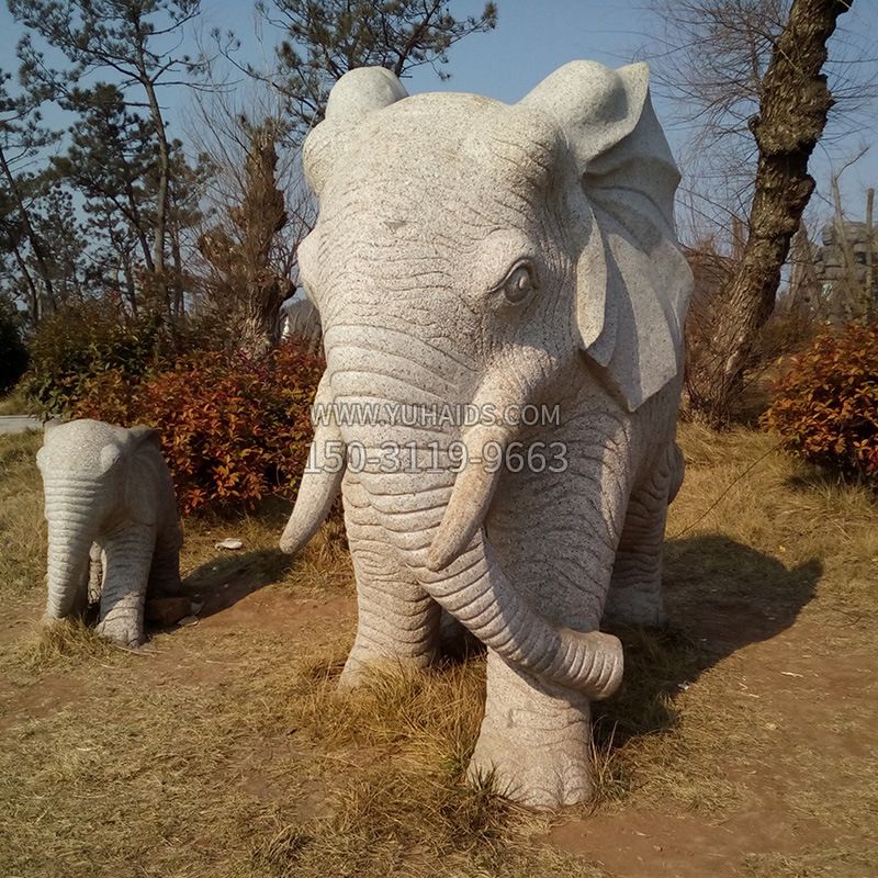 荷花大象石浮雕雕塑