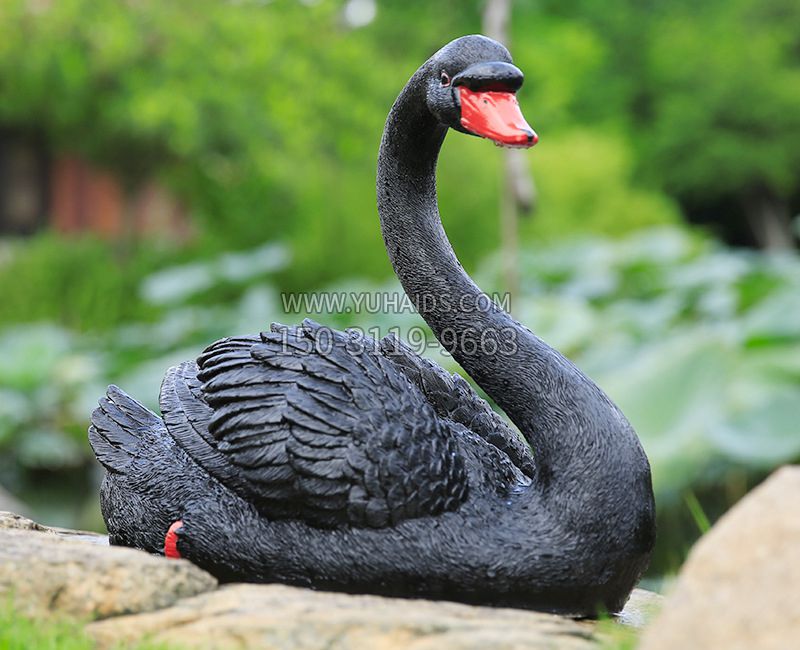 黑色天鹅卧姿雕塑-园林水景动物摆件