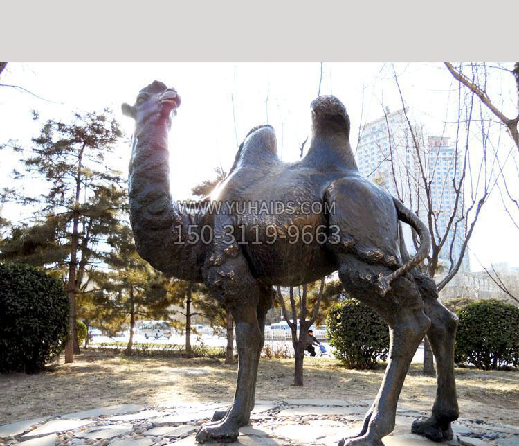 铜雕公园骆驼雕塑
