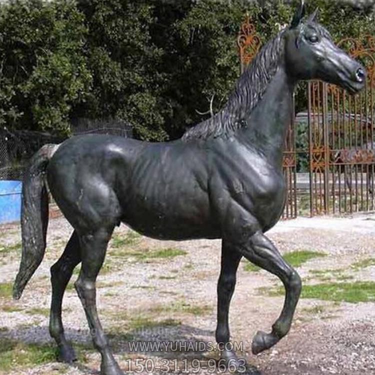 户外广场铜雕动物马雕塑