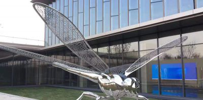 大学花园抽象镜面不锈钢蜻蜓雕塑