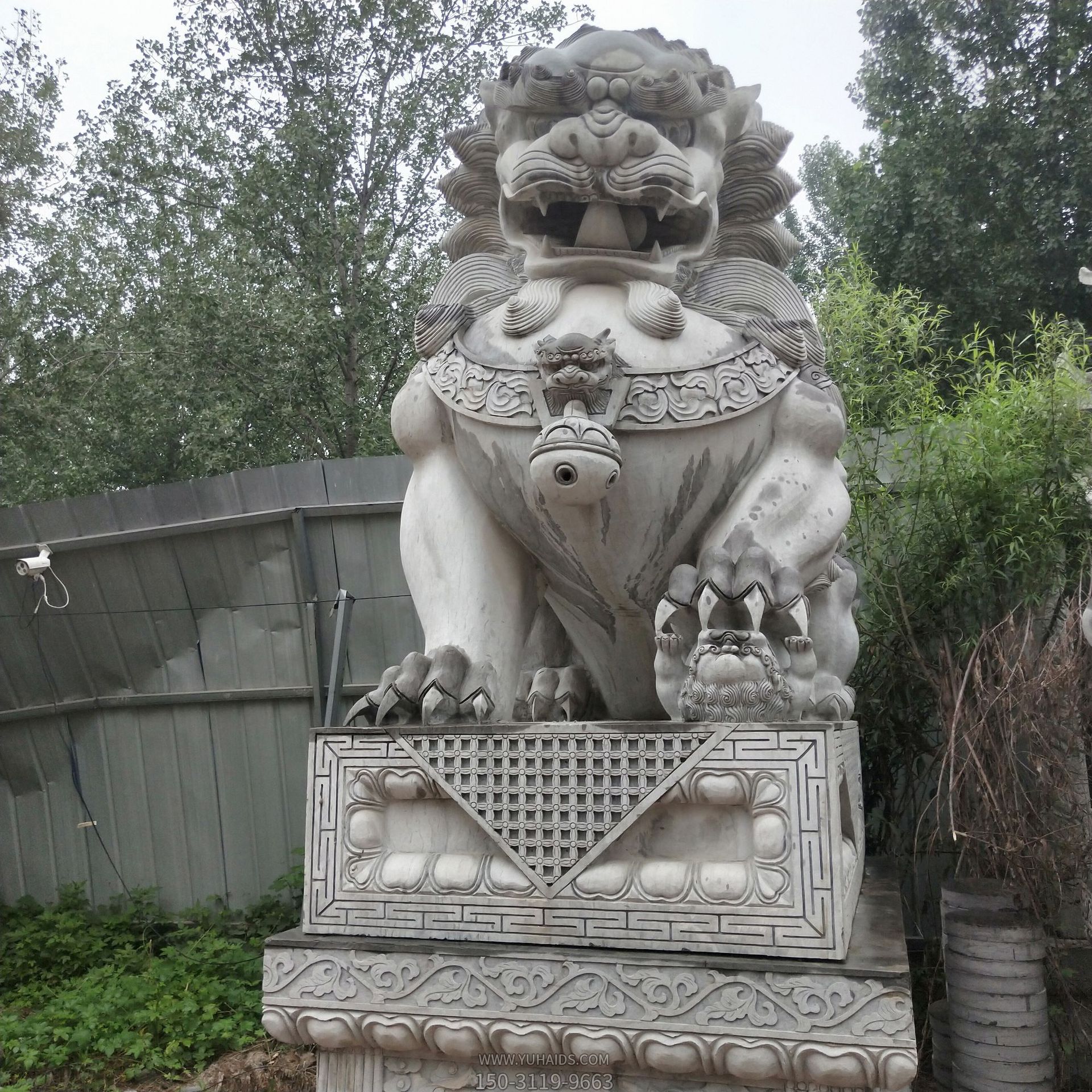 公园创意大型大理石石雕狮子雕塑