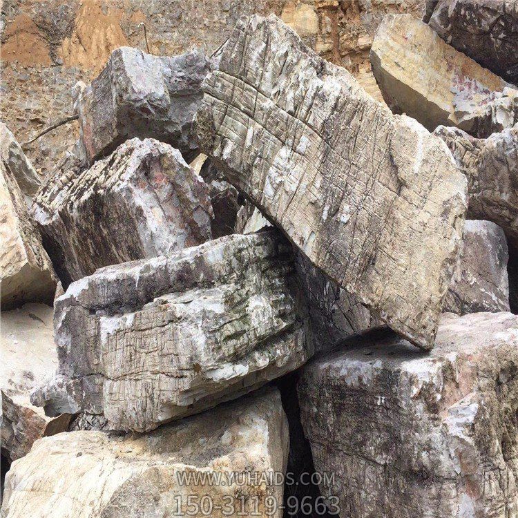 公园景区大型龟纹石石雕园林假山摆件雕塑