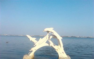 海边摆放多个不锈钢海豚雕塑