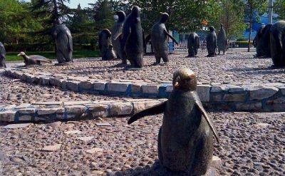 公园景区玻璃钢石头路上的企鹅雕塑