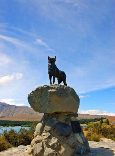 户外草原创意不锈钢站在石头上的狗雕塑