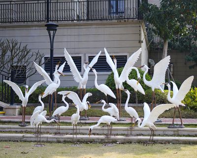 公园广场一群玻璃钢飞翔的鹤雕塑