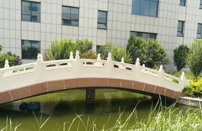 医院花园湖边汉白玉石拱桥雕塑