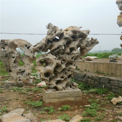 户外纯天然大理石石雕珊瑚石雕塑