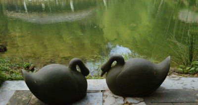 湖边池塘觅食休息中的黑天鹅雕塑
