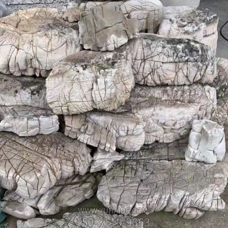 景观石龟纹石创意石雕户外公园摆件雕塑