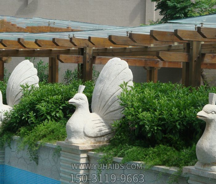 花坛上一只欲将开平的玻璃钢卡通孔雀雕塑
