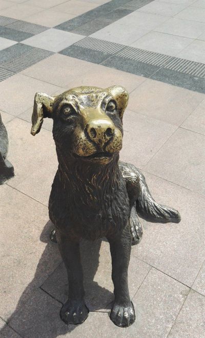 公园不锈钢仿铜卧着的狗雕塑