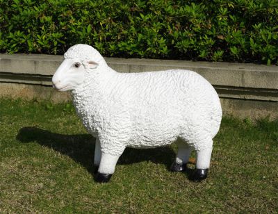 草地上摆放的 一只小的玻璃钢仿真绵羊雕塑
