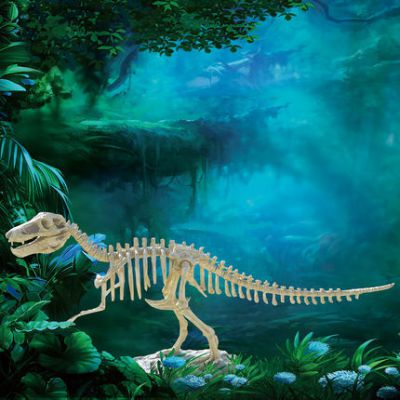 恐龙雕塑-博物馆大型玻璃钢恐龙骨架景区装饰品恐龙雕塑