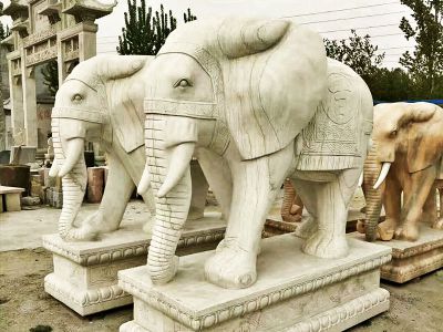公园广场汉白玉石雕大象雕塑