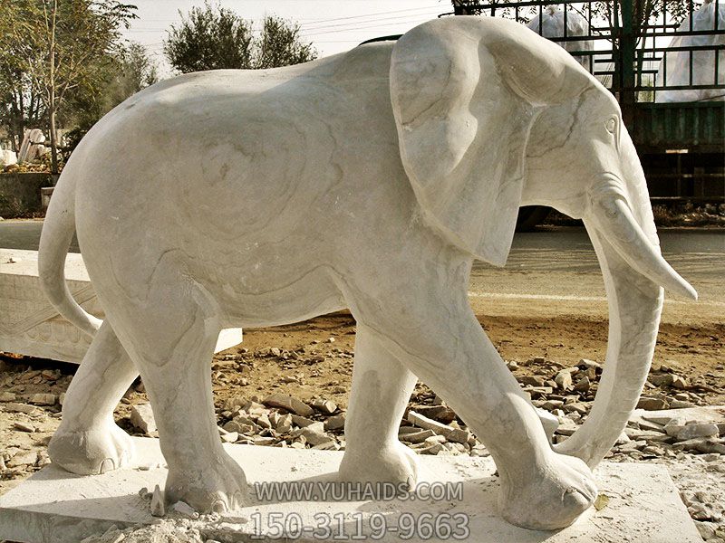 广场石雕汉白玉石雕大象雕塑