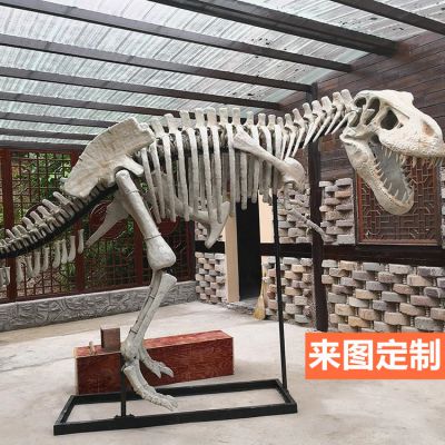 大型全新仿真恐龙骨架骨骼化石玻璃钢景区博物馆恐龙雕塑
