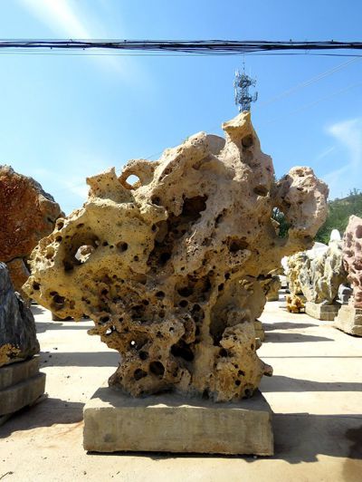 纯天然户外水景景观珊瑚石雕塑