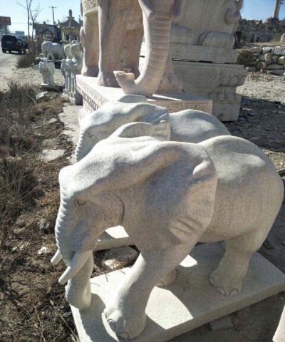 广场花园汉白玉石雕大象雕塑