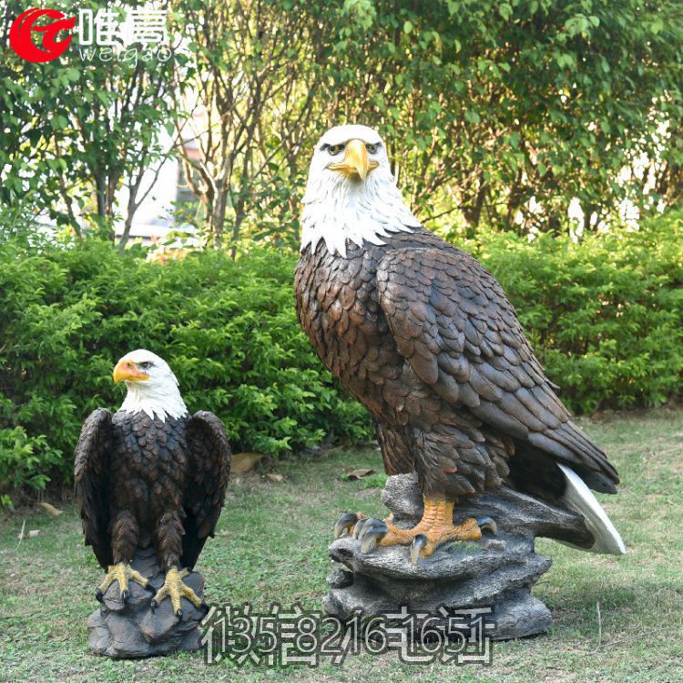 玻璃钢仿真老鹰白头鹰雕塑