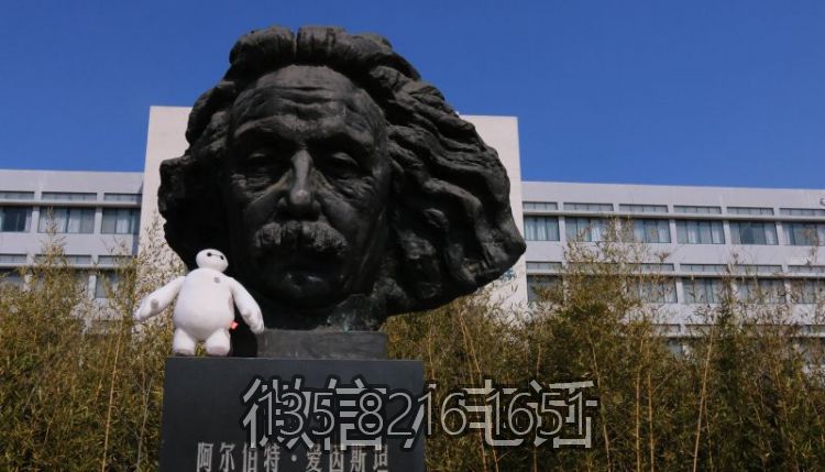 校园景观摆件铜雕发明家头像爱因斯坦雕塑