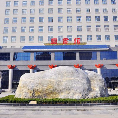 学校图书馆门前的自然景观石