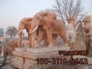 高大上石雕大象雕塑
