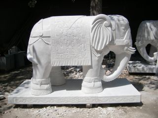 汉白玉大象厂家石雕大象