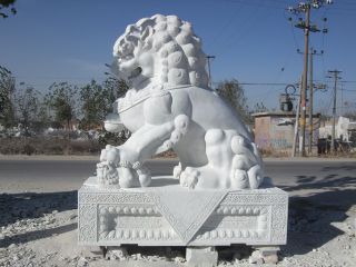 石狮子石雕厂家精品汉白玉北京狮
